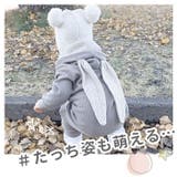うさぎロンパース babyromper | BACKYARD FAMILY | 詳細画像4 