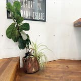 ルートート デリ トートバッグ | BACKYARD FAMILY | 詳細画像6 