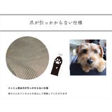 ペットキャリー リュック 通販 | BACKYARD FAMILY | 詳細画像9