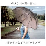 because クリアアンブレラ | BACKYARD FAMILY | 詳細画像3