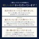 Brillo ブリオ レザーケアキット | BACKYARD FAMILY | 詳細画像5