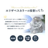 エリザベスカラー ソフト 犬 猫 花柄 bu818 | BACKYARD FAMILY | 詳細画像14
