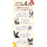 エリザベスカラー ソフト 犬 猫 花柄 bu818 | BACKYARD FAMILY | 詳細画像4