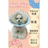 エリザベスカラー ソフト 犬 猫 花柄 bu818 | BACKYARD FAMILY | 詳細画像5