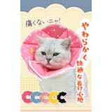 エリザベスカラー ソフト 犬 猫 花柄 bu818 | BACKYARD FAMILY | 詳細画像7