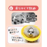 エリザベスカラー ソフト 犬 猫 花柄 bu818 | BACKYARD FAMILY | 詳細画像8