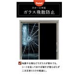 遮光シート pmyyyt60 | BACKYARD FAMILY | 詳細画像10 