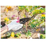 握りやすいカチカチ剪定ハサミ | BACKYARD FAMILY | 詳細画像10 