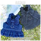 ペット服 デニム kpet303 | BACKYARD FAMILY | 詳細画像2