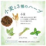 ビューウェル オントミー ホッとアイピロー | BACKYARD FAMILY | 詳細画像9 