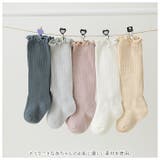 ベビー ハイソックス シンプル gsocks40901 | BACKYARD FAMILY | 詳細画像3