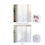 キャラクター レースカーテン ２枚組 | BACKYARD FAMILY | 詳細画像14 