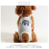 ペット 生理パンツ kdog04 | BACKYARD FAMILY | 詳細画像2