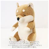 座り抱きまくら M | BACKYARD FAMILY | 詳細画像4 