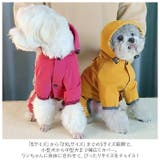 ペット フード付き レインコート gpetwear4920 | BACKYARD FAMILY | 詳細画像3 