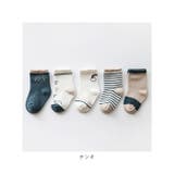 キッズ ソックス 5枚セット sesocks01 | BACKYARD FAMILY | 詳細画像15
