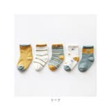 キッズ ソックス 5枚セット sesocks01 | BACKYARD FAMILY | 詳細画像18