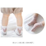 キッズ ソックス 5枚セット sesocks01 | BACKYARD FAMILY | 詳細画像5
