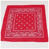 PAISLEY BANDANNA | BACKYARD FAMILY | 詳細画像7 