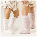 キッズ ソックス 春秋 sesocks8042 | BACKYARD FAMILY | 詳細画像5 