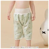 トレーニングパンツ おねしょズボン コットン gbspantss497 | BACKYARD FAMILY | 詳細画像4