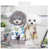 ペットウェア ペット服 可愛い petwearddg23 | BACKYARD FAMILY | 詳細画像2