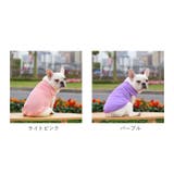 ペットウェア ペット服 可愛い petweardm9 | BACKYARD FAMILY | 詳細画像12