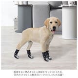 ペットソックス 靴下 yapetsocks6895 | BACKYARD FAMILY | 詳細画像3