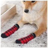 ペットソックス 靴下 yapetsocks6895 | BACKYARD FAMILY | 詳細画像4