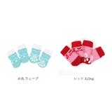 ペット 靴下 ソックス yapetsocks2528 | BACKYARD FAMILY | 詳細画像16