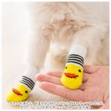 ペット 靴下 ソックス yapetsocks2528 | BACKYARD FAMILY | 詳細画像3