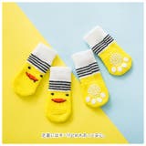 ペット 靴下 ソックス yapetsocks2528 | BACKYARD FAMILY | 詳細画像5