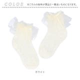 女の子 フォーマル 靴下 シフォンレース gsocks4111 | BACKYARD FAMILY | 詳細画像9