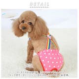 サニタリーパンツ 生理パンツ 女の子 犬 dogspml6 | BACKYARD FAMILY | 詳細画像2 