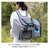 ペットキャリーバッグ ペット用品 可愛い petbag5050 | BACKYARD FAMILY | 詳細画像2