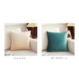 クッションカバー 約45×45cm 洗える | BACKYARD FAMILY | 詳細画像13