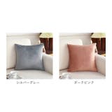 クッションカバー 約45×45cm 洗える | BACKYARD FAMILY | 詳細画像14