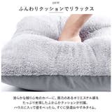 ペットハウス L 可愛い pettb87 | BACKYARD FAMILY | 詳細画像12