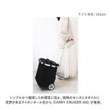 reisenthel ライゼンタール CARRY CRUISER ISO | BACKYARD FAMILY | 詳細画像2