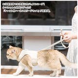 猫用 ペット ハーネス リードセット 胸当て ypet5036 | BACKYARD FAMILY | 詳細画像2 