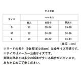 猫用 ペット ハーネス リードセット 胸当て ypet5036 | BACKYARD FAMILY | 詳細画像14 