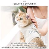 猫用 ペット ハーネス リードセット 胸当て ypet5036 | BACKYARD FAMILY | 詳細画像3 