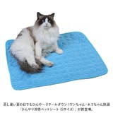 ペットシート Sサイズ petmat5040 | BACKYARD FAMILY | 詳細画像2