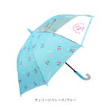 ATTAIN 女児ポンジー1コマPOE 50cm | BACKYARD FAMILY | 詳細画像15