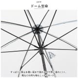 ATTAIN POE cat dome | BACKYARD FAMILY | 詳細画像3