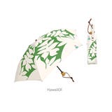 MIKUNI ミクニ 折りたたみ 日傘 50cm | BACKYARD FAMILY | 詳細画像8