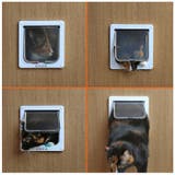 キャットドア 開閉ロック機能付き ypet5059 | BACKYARD FAMILY | 詳細画像4 