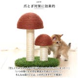 猫爪とぎ pkxx2033 | BACKYARD FAMILY | 詳細画像4 