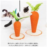 猫 爪とぎ pkxx2067 | BACKYARD FAMILY | 詳細画像2