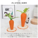 猫 爪とぎ pkxx2067 | BACKYARD FAMILY | 詳細画像3